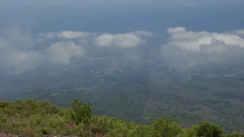 Above a mountain view low clouds moving across trees cityscape sea in background Stock Footage 113261243