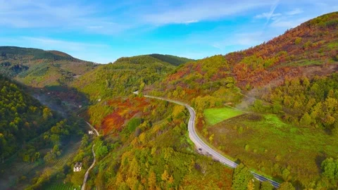 Above Natures Canvas 库存影片 306336473