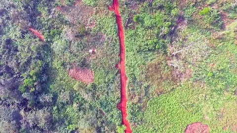 Above a new forest road, mini bush fires Stock Footage 80974840