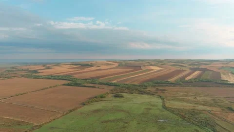 Above Open Fields Agricultural Summer Sunny Day Country Side Drone Aerial Stock Footage 141040214