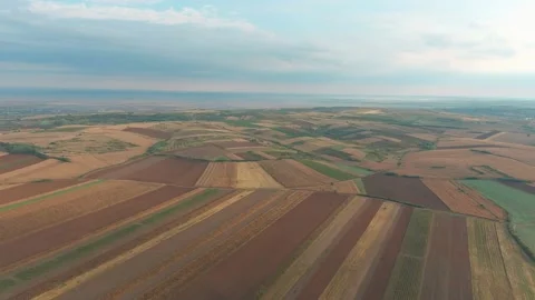 Above Open Fields Agricultural Summer Sunny Day Country Side Drone Aerial Stock Footage 141041102