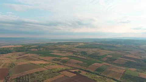 Above Open Fields Agricultural Summer Sunny Day Country Side Drone Aerial Stock Footage 141042375