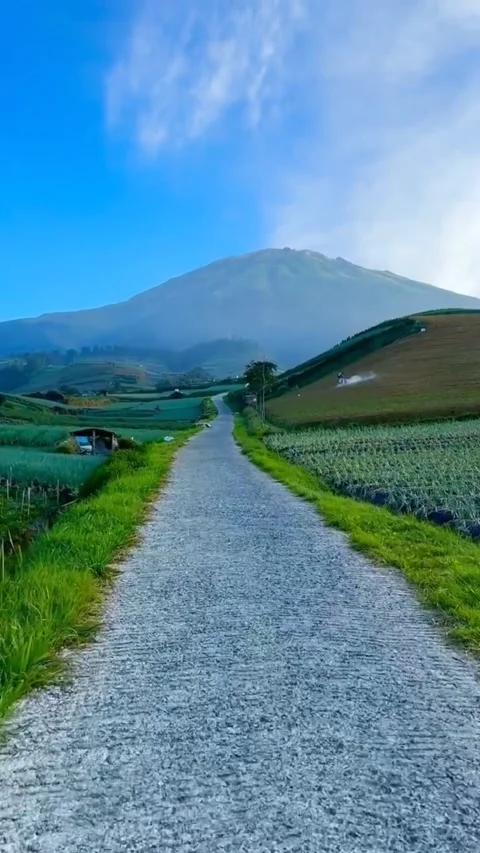 "Above the Peak: Mountain Beauty in the Alluring Countryside" Stock Footage 262586677