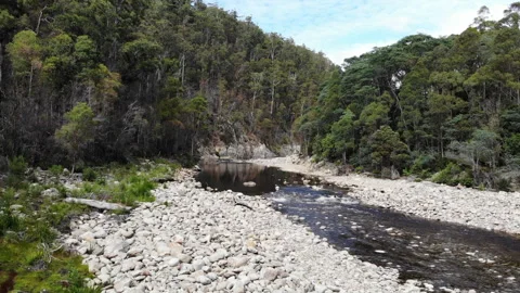 Above the river and forest Stock Footage 151334478