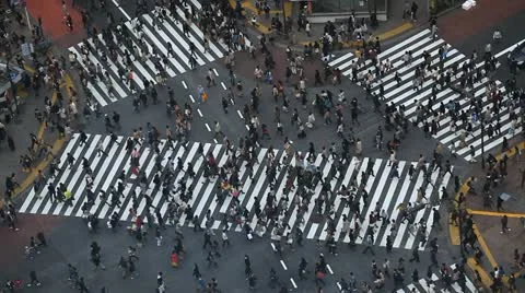 Above Shot Real Time People Walking Crosswalk Crowd Crossing Tokyo Commuters Day Stock Footage