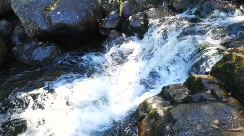 Above shot of water rushing down small rapids Stock Footage 62652384