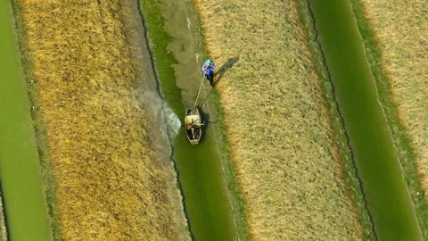From above, showcases a farmer using a cart with an irrigation system. Stock Footage 306723072