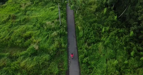 Above on a straight road lined with trees 動画素材 273221500