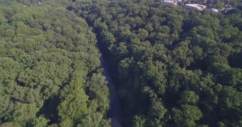 Above the trees and river view of Philadelphia Stock Footage 90736385
