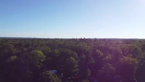 Above Trees Stock Footage