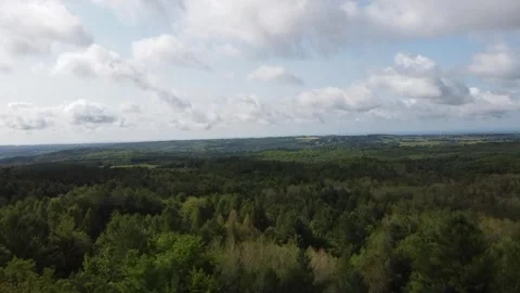 Above the trees Stock Footage 250855200