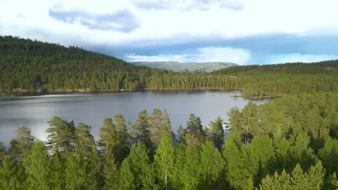 Above The Trees Overlooking Lake 4K Areal Stock Footage 249908192