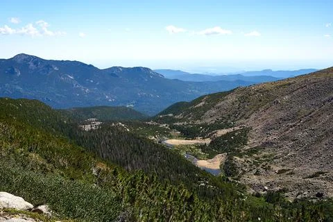 Above the Trees Foto stock