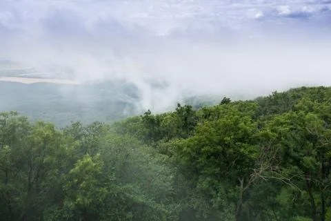 Above the treetops Stock Photos