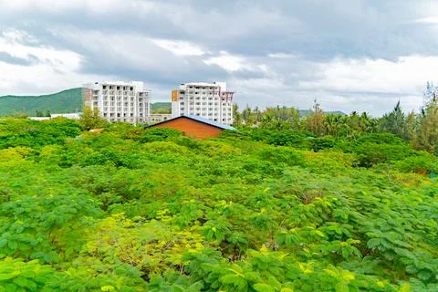 Above the treetops. 스톡 사진