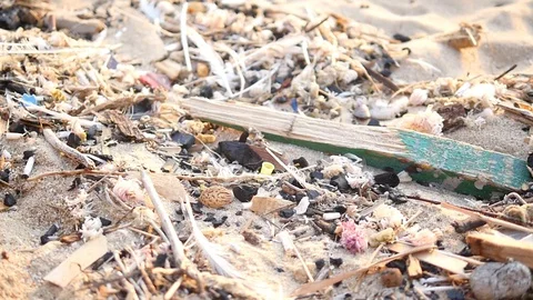 Above view from above, plastic garbage bottles pollute marine litter on the Stock Footage 118457988