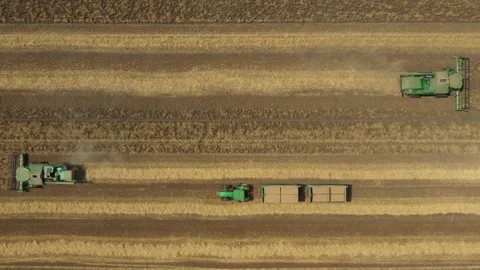 Above view on combine, harvester machine, harvest ripe cereal Stock Footage 221758588