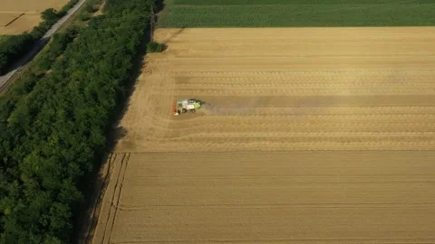 Above view on combine, harvester machine, harvest ripe cereal Stock Footage 224719844