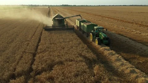 Above view on combine transferring freshly harvested cereal into trailer Stock Footage 224728723