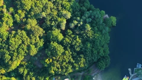 Above View Lush Forest With Small Port Over Minho River Stock Footage 285759322