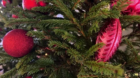 Above view on pine tree branches with Christmas fairy lights and red baubles Stock Footage 277623175