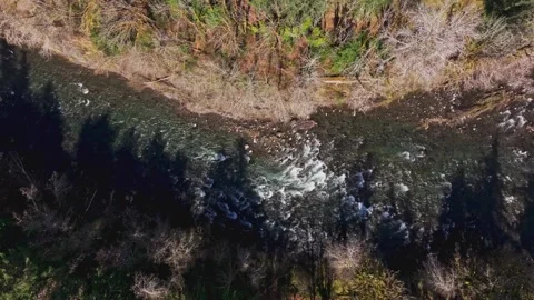 Above View Of Sol Duc River In The Olympic National Park In Washington State Stock Footage 334157312