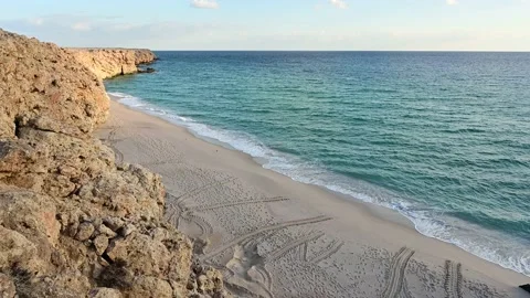 Above view of turtle beach at Ras al Jinz turtle reserve Vídeo Stock 138158338