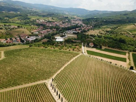 Above the vineyard Stock Photos