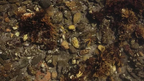 Above the water Video stock 132938302