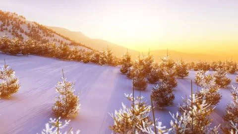 Above winter forest mountain sunset Stock Illustration