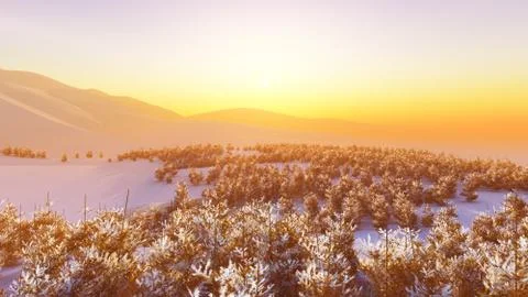 Above winter forest mountain sunset Stock Illustration