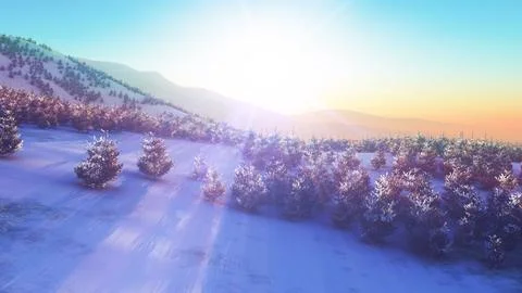Above winter forest mountain sunset Stock Illustration