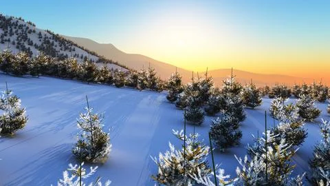 Above winter forest mountain sunset Stock Illustration