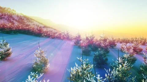 Above winter forest mountain sunset Stock Illustration