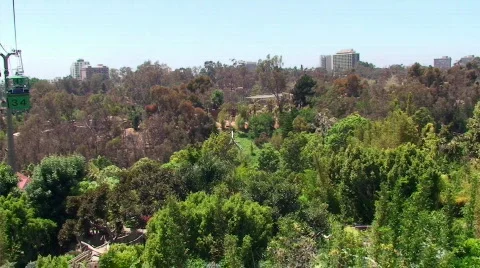 Above the Zoo HD Stock Footage 477572