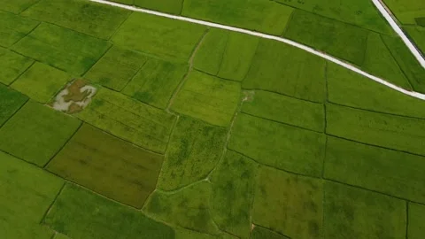 Abovericefieldsandtown Stock Footage 238743444