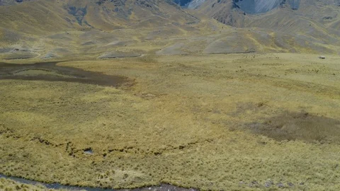 Abra La Raya, border between Puno-Cusco Stock-Footage 115995295