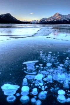 Abraham Lake Winter Stock Photos