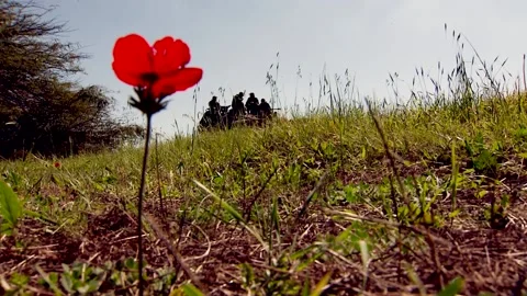 Abrams Battle Tanks Training Vidéo 170224478