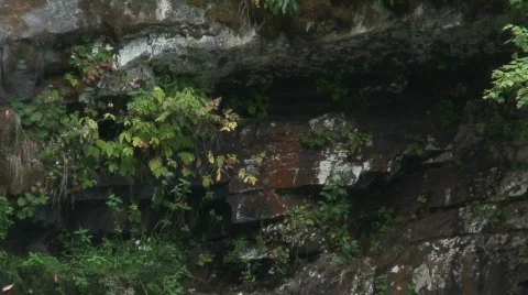 Abrams Falls 8 Stock Footage 706527