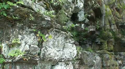 Abrams Falls 9 Stock Footage 706337