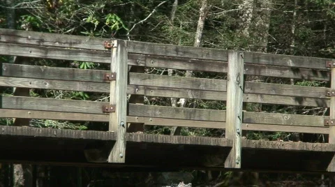 Abrams Falls Trail 1 Stock Footage 707257