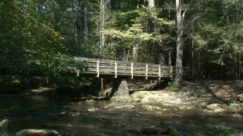 Abrams Falls Trail 2 Stock Footage 709285