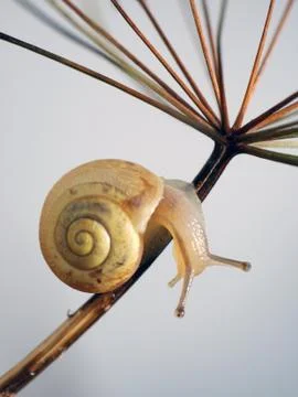 Abrupt turn Stock Photos