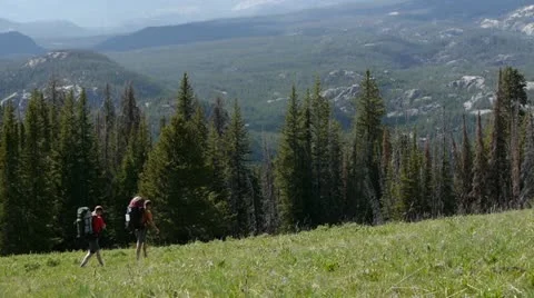 Absaroka-Beartooth Wilderness Hikers Video stock 11365834