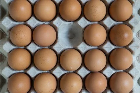 Absent concept : An egg disappears from the group of eggs. Stock Photos