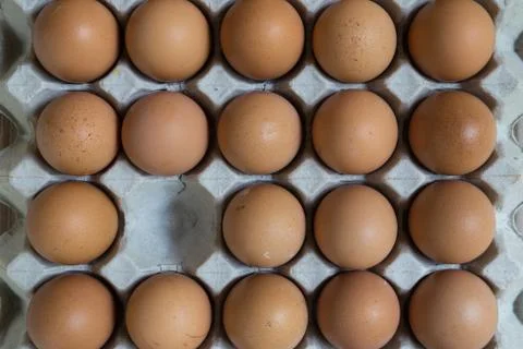 Absent concept : An egg disappears from the group of eggs. Stock Photos