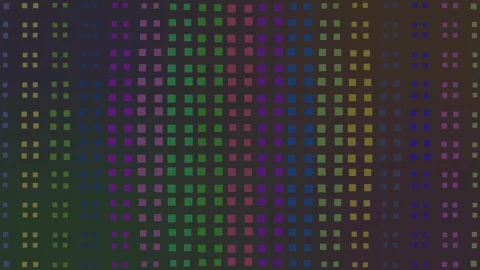 Absolute Distinct Flower Multi Colored Line Animation Stock Footage 342080726