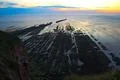 Absolute Low Tide 2335 Photo