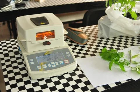 Absolute moisture meter Stock Photos